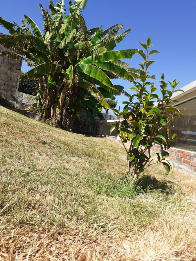 Victoryangel Villa Laino Exterior photo